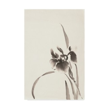 Trademark Fine Art